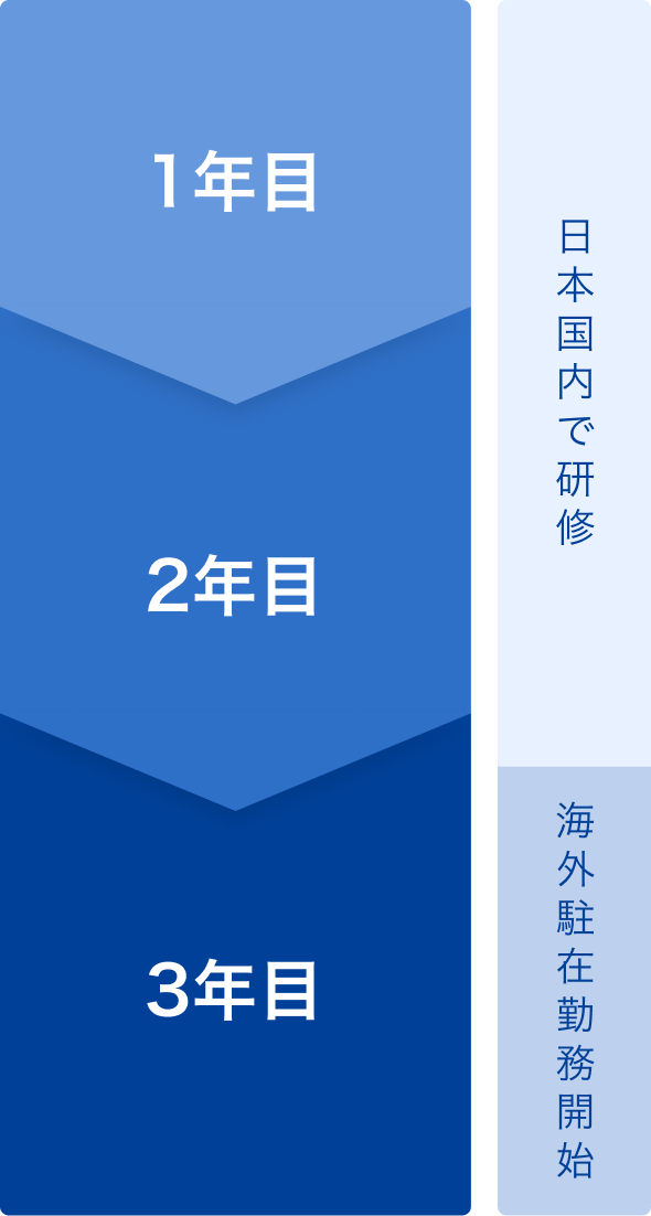 入社から海外駐在勤務までのフローのイメージ